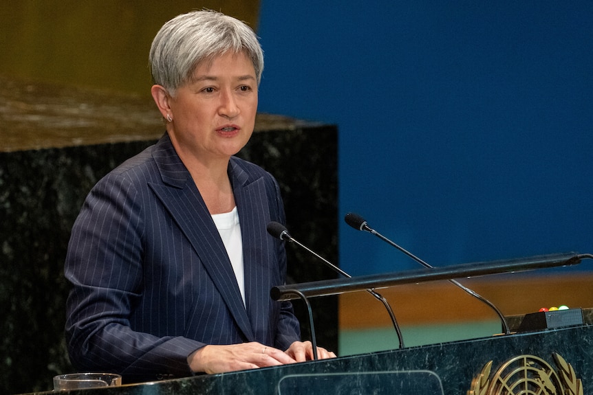 Пенні Вонг виступає на трибуні ООН.