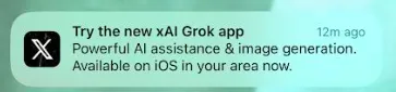 Окремий додаток Grok
