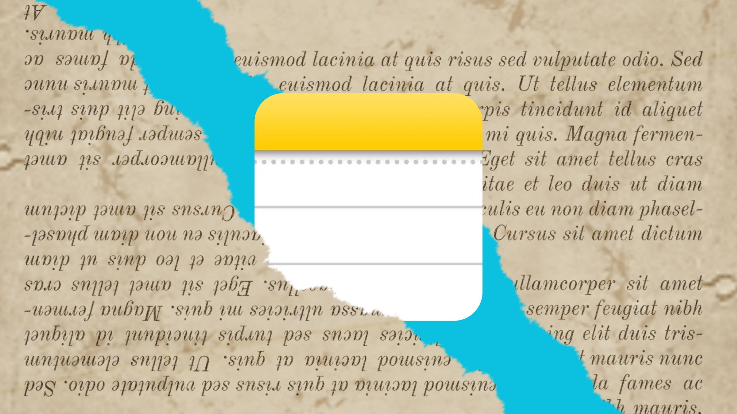 Програма Нотатки та сторінки старих книг. 