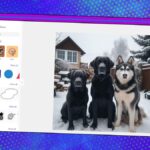 Tiktok Tramp Ramps назад, коли творці виглядають в іншому місці