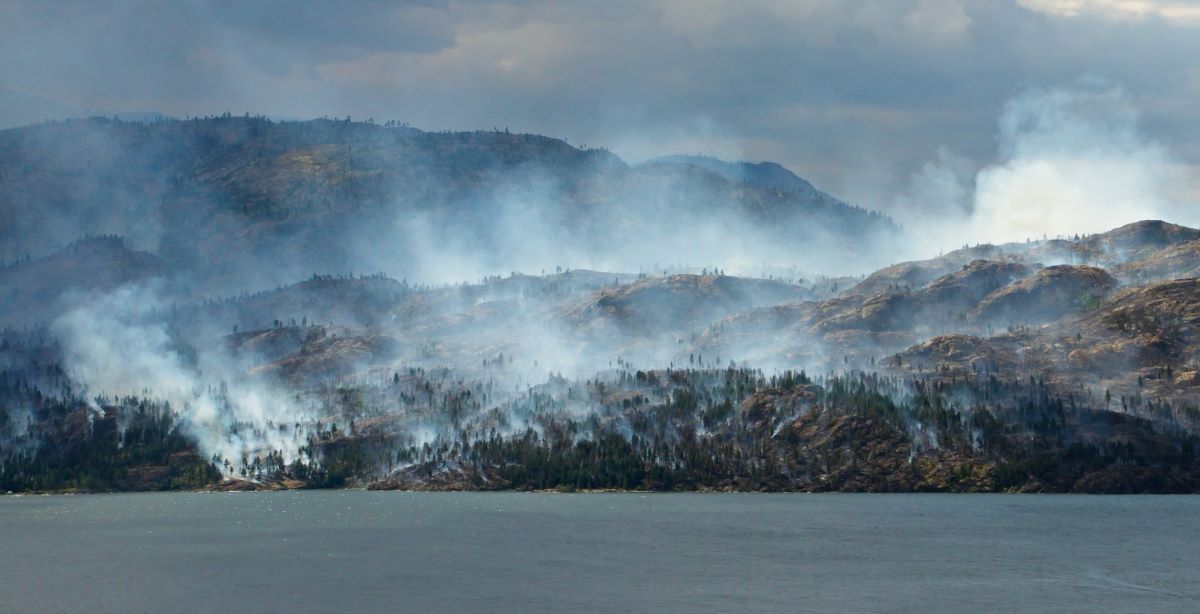 USGS: Дикі пожежі збільшують концентрацію ртуті в потоках головних вод ~ Зошит Мавена