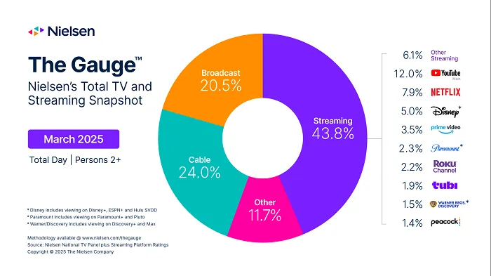 Звіт про калібрування Nielsen