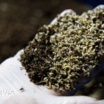 Експерт з тематичних парків Бет Новак зважує на відкриття епічного всесвіту Universal