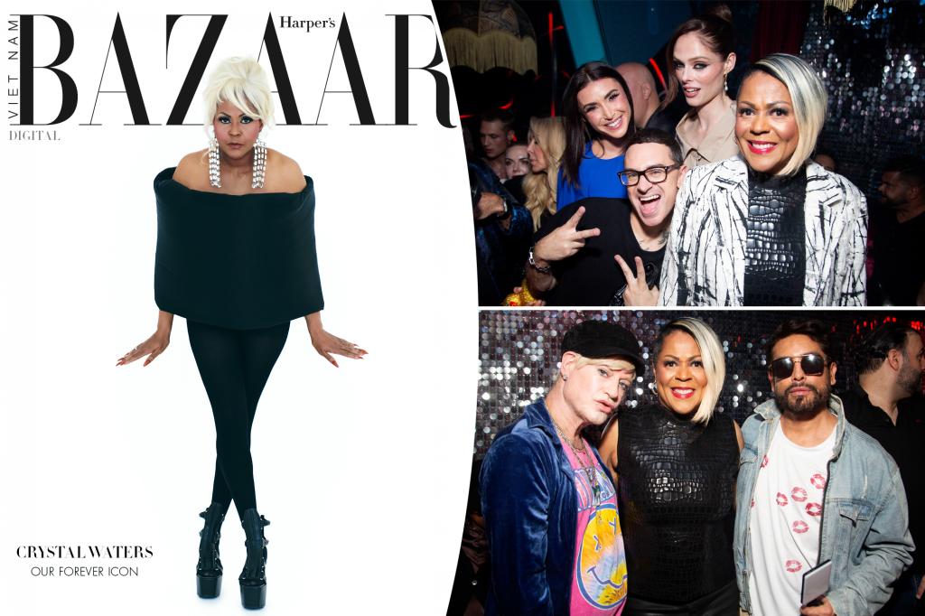 Адвокати Harper's Bazaar Sics на "фальшивому" тижні моди Bash