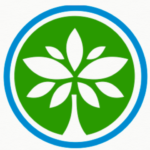 Baosheng Media Group Holdings Limited (NASDAQ: BAOS) Короткий відсоток знизився на 18,8% у серпні