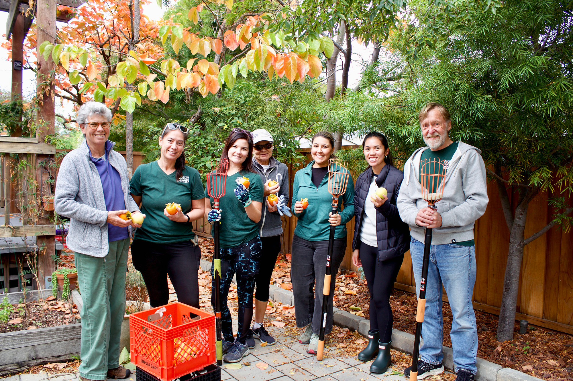 Фруктові сади на задньому дворі Іст-Бей також є порятунком взаємодопомоги