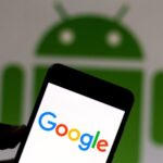 Фруктові сади на задньому дворі Іст-Бей також є порятунком взаємодопомоги