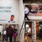 Новий соноактивований нанореактор індукує прецизійне внутрішньопухлинне утворення юглону та опосередкований каспазою 3/GSDME піроптоз для лікування раку сечового міхура | Журнал нанобіотехнології